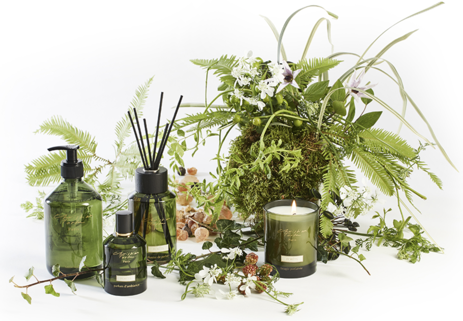 Кристиан Тортю Заповедный лес