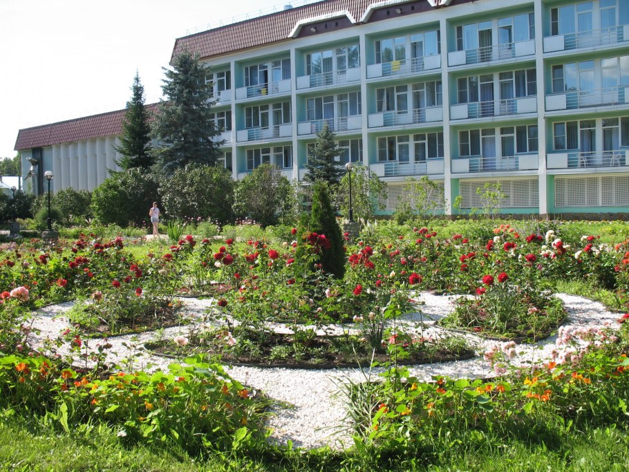 Лесная новь Киров