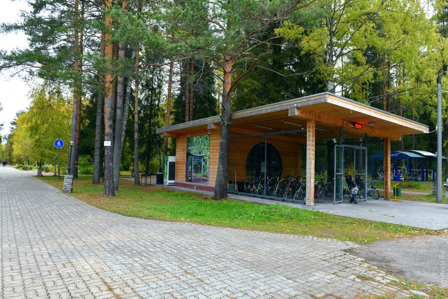 Дом отдыха Лесной курорт