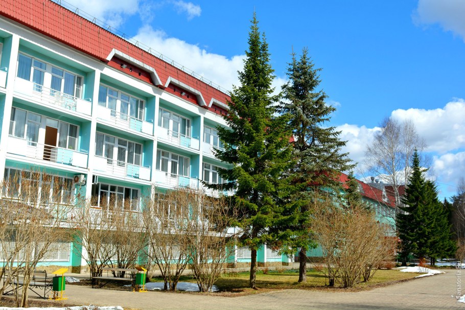 Нижне Ивкино Лесная новь