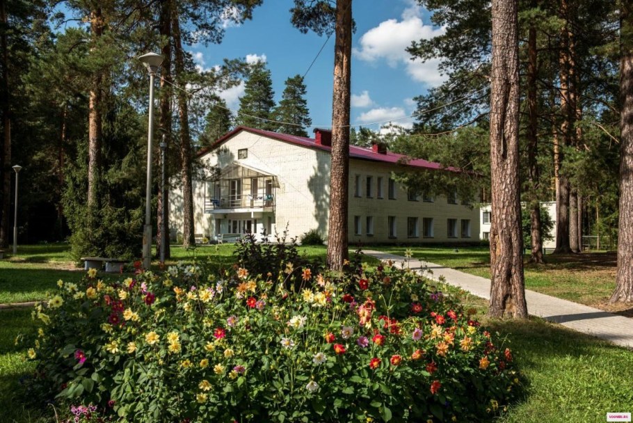 Санаторий Сосновый Бор в Ковылкино Мордовия