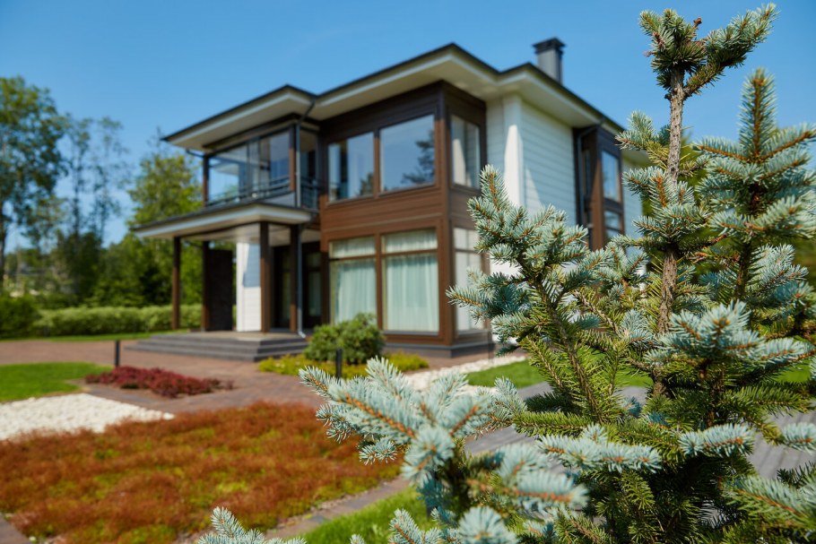 Honka Nova солнечное