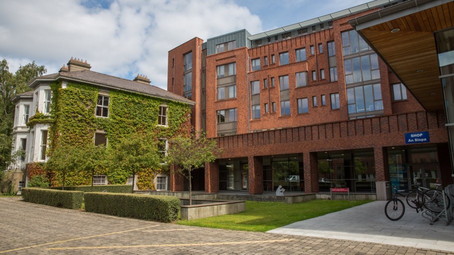 Тринити-Холл в Дублине