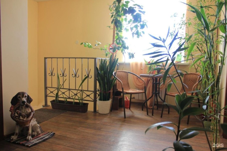 Два крыла Ярославль баня