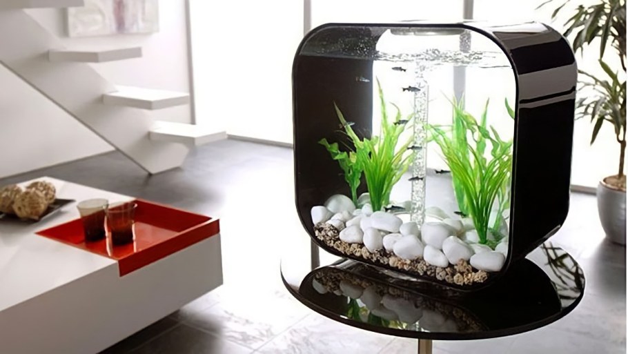 Красивые маленькие аквариумы