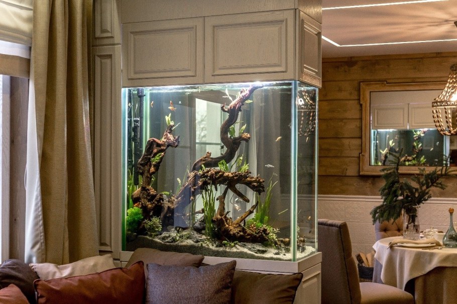 Дизайнерский аквариум