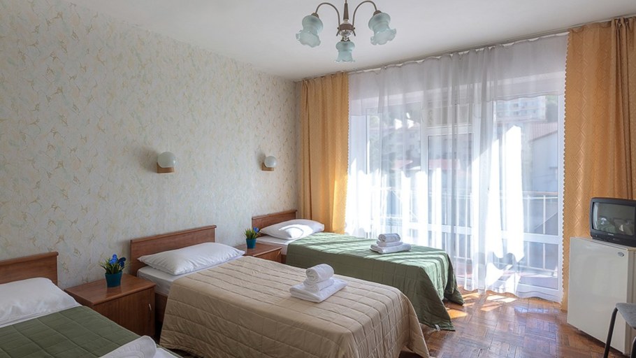 Хоста Ялтинская 14