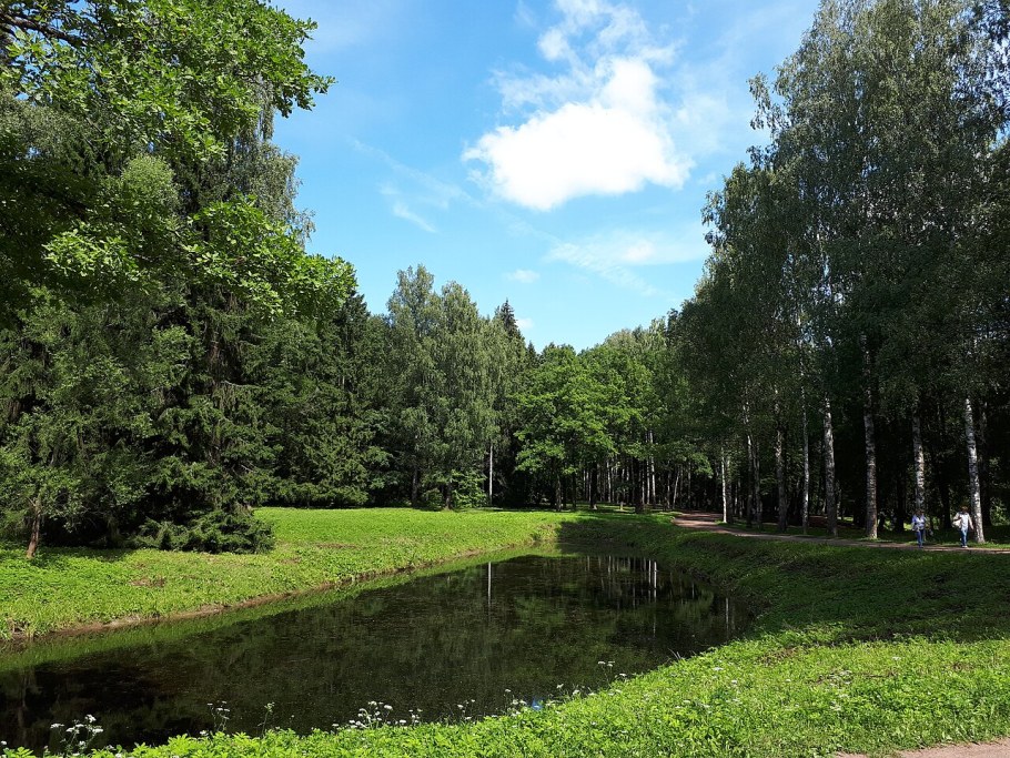 Павловск парк 2021