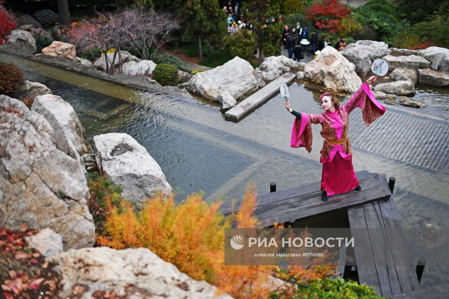 Парк Айвазовского цветение Сакуры