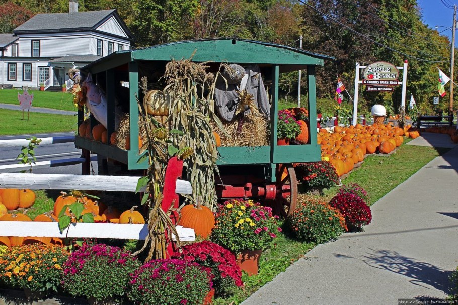 Вермонт праздник тыкв