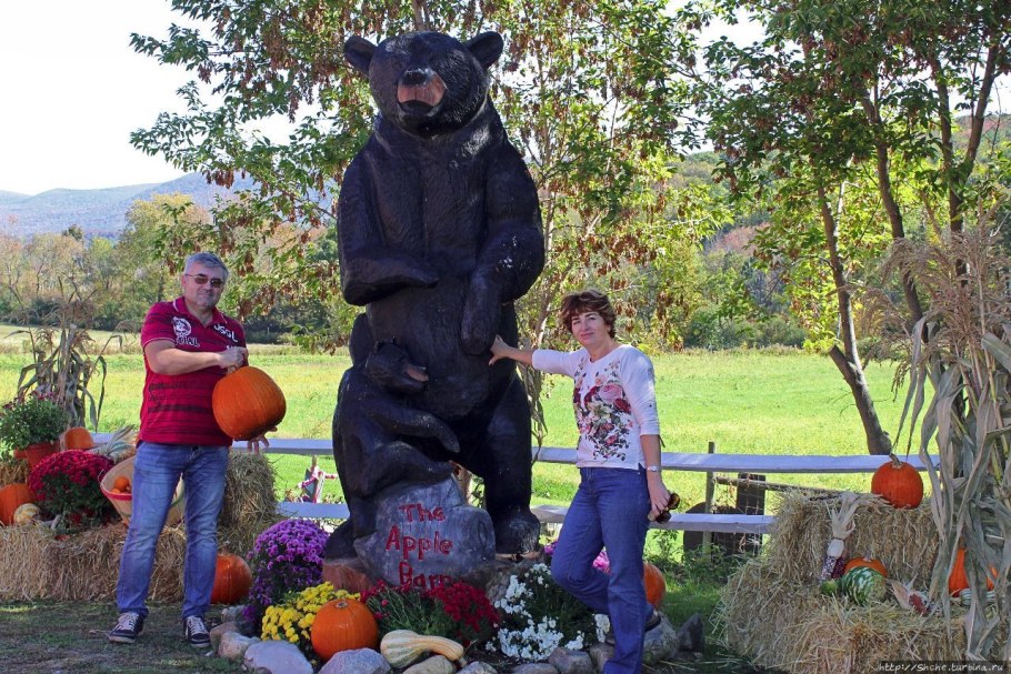 Вермонт фруктов