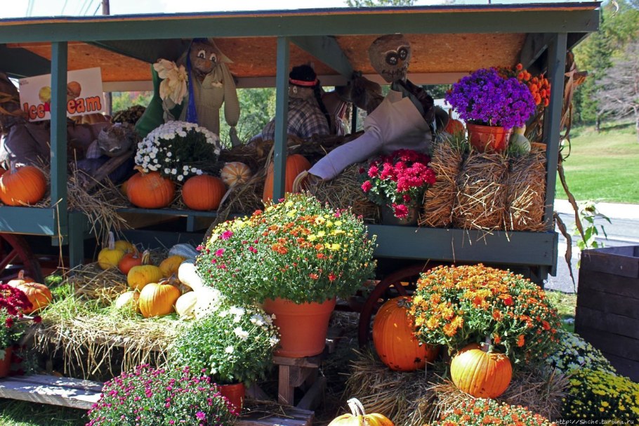 Вермонт фруктов