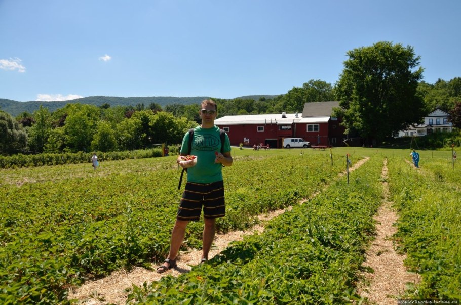 Яблочный Амбар фото