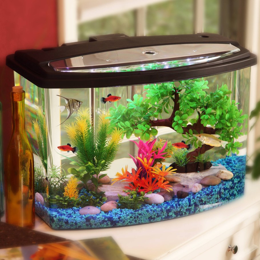 Маленький аквариум
