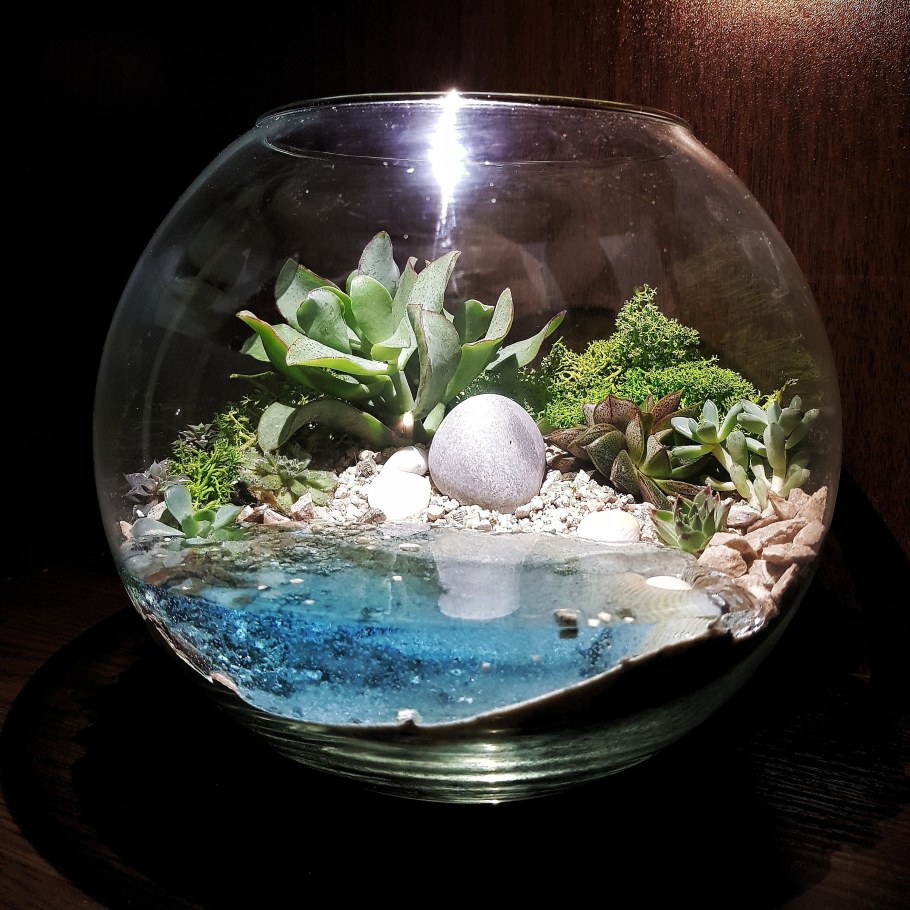 Горный флорариум