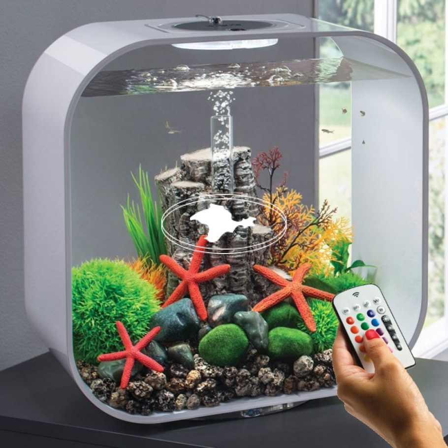 Аквариум BIORB Life 30 MCR черный