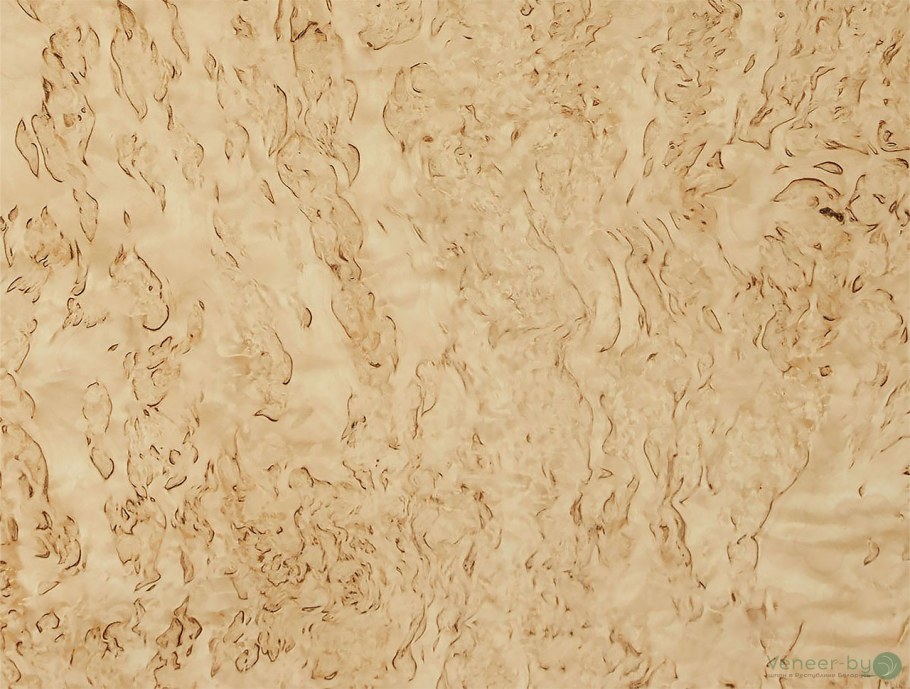 Шпон Капа карельской березы