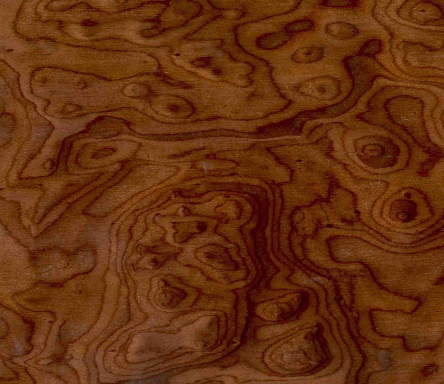 Дерево карельская береза фактура