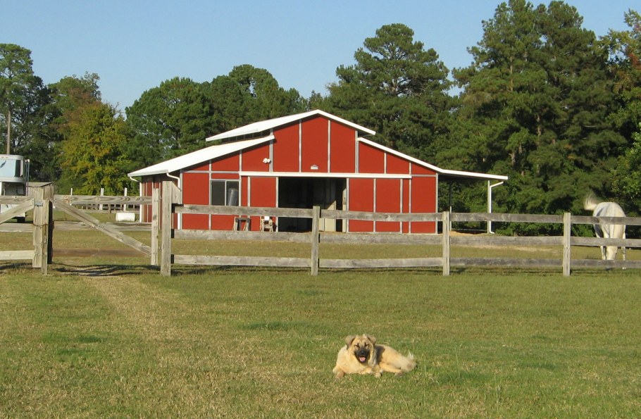 Барнхаус 100м2