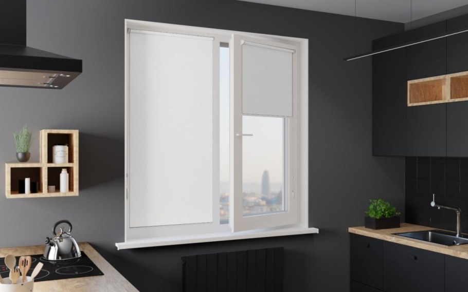 Рулонные шторы MGS Зебра