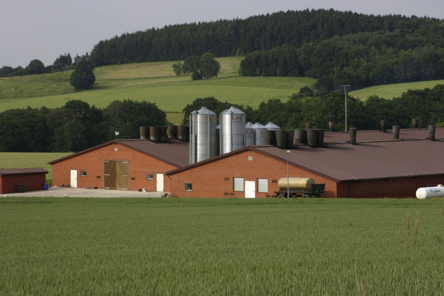 Современное фермерское хозяйство
