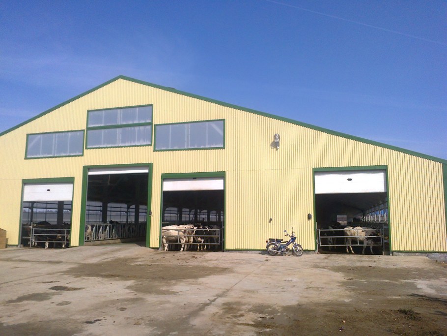 Ангар-коровник животноводческие комплексы