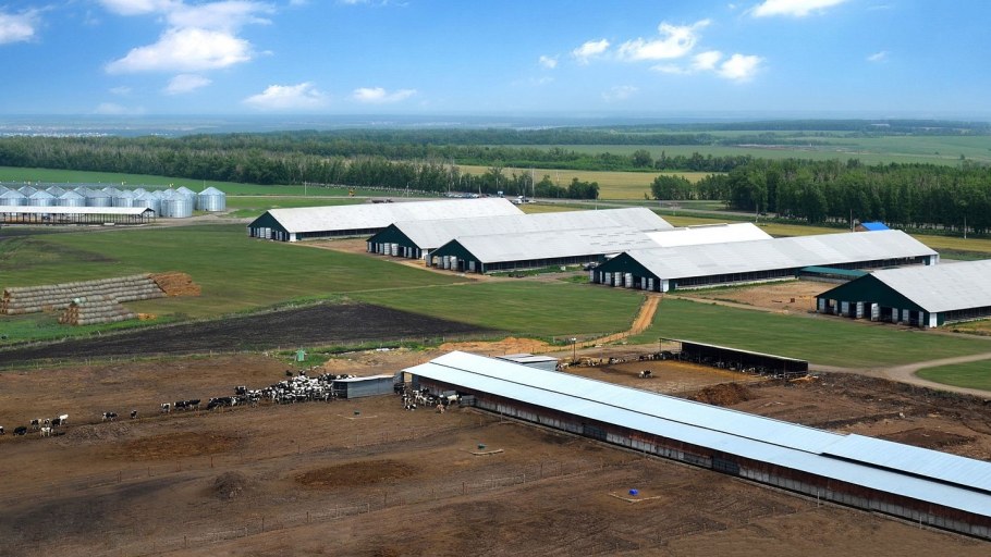 Молочная ферма ЭКОНИВА