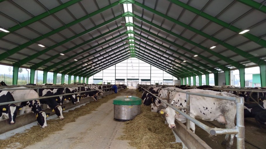 Ферма коровник Телятник