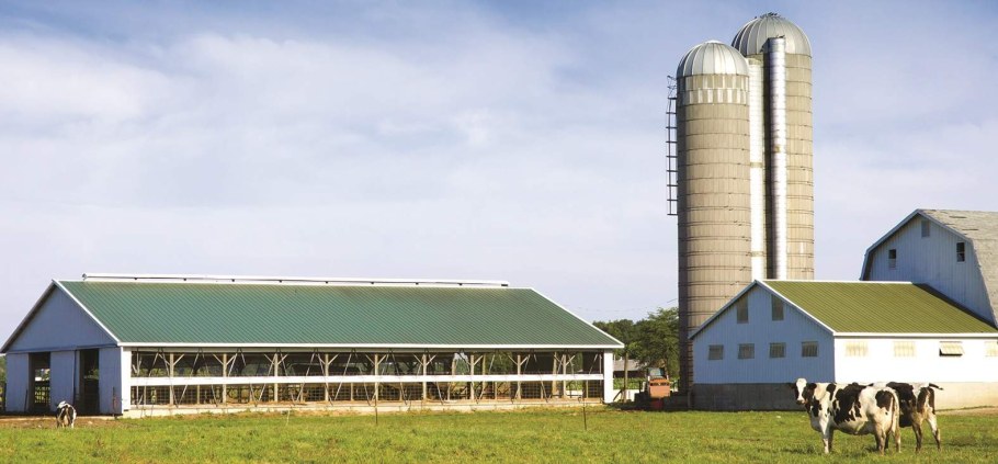 Сельскохозяйственные здания и сооружения