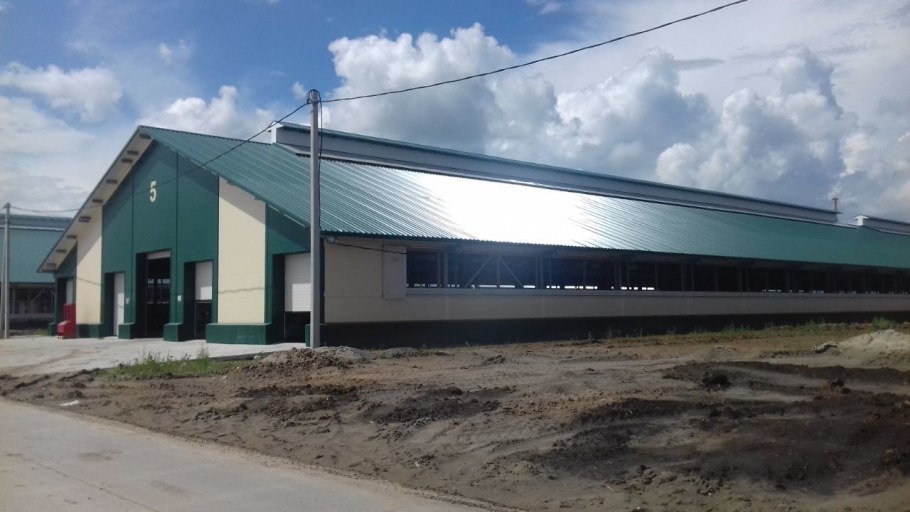 Телятник из сэндвич панелей