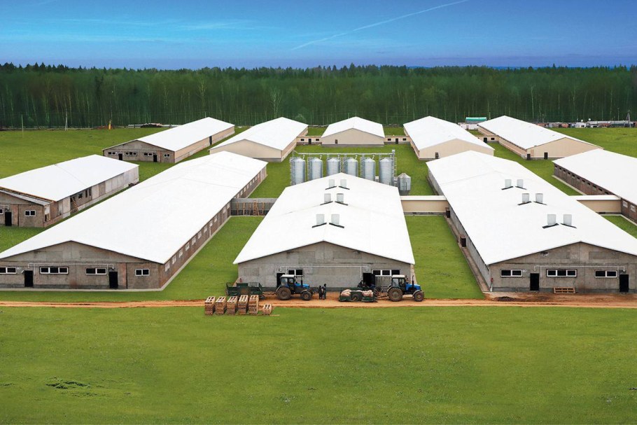 Свинокомплекс Дмитрова гора