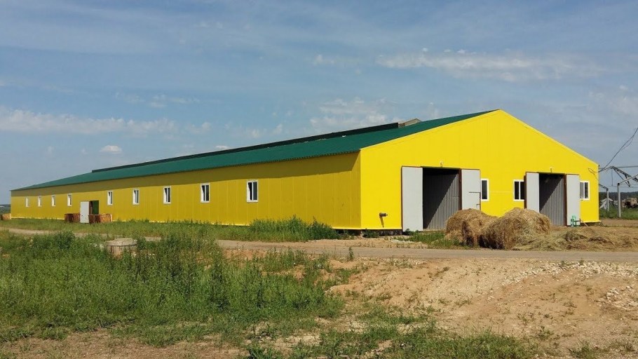 Мини ферма ангар коровник