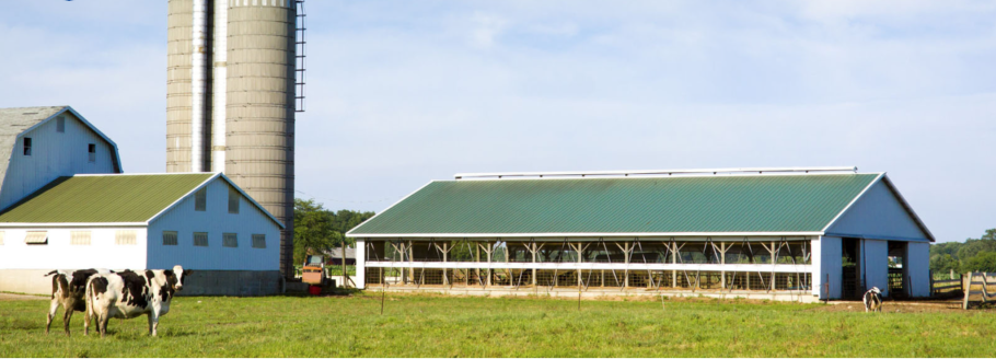 Современная ферма