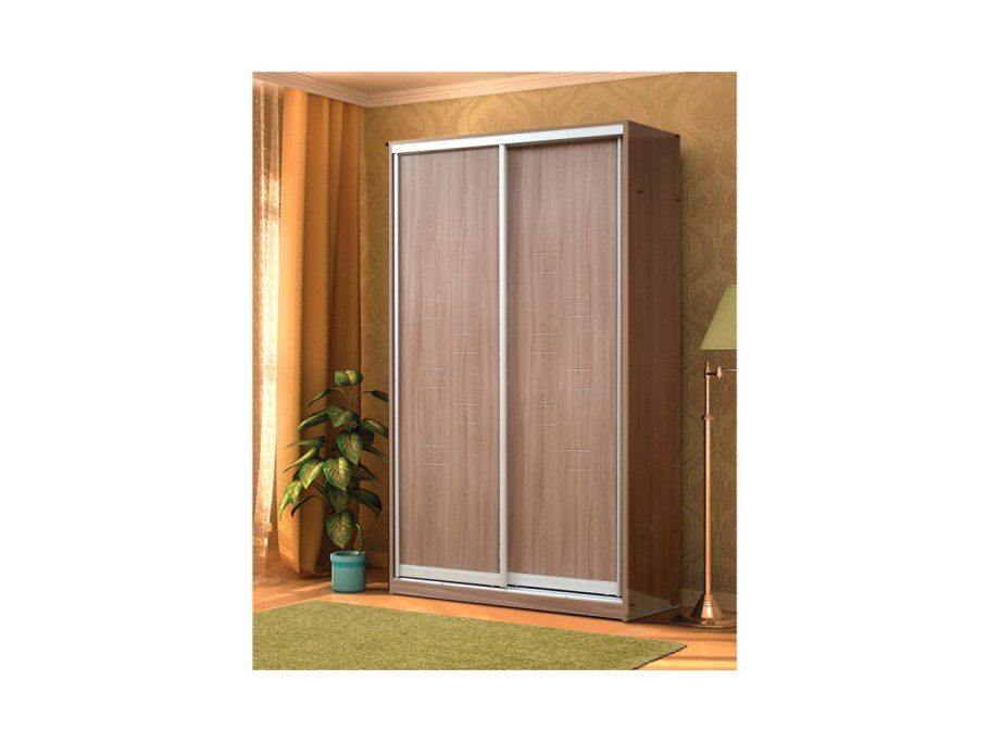 Шкаф купе Рамир 2-х дверный