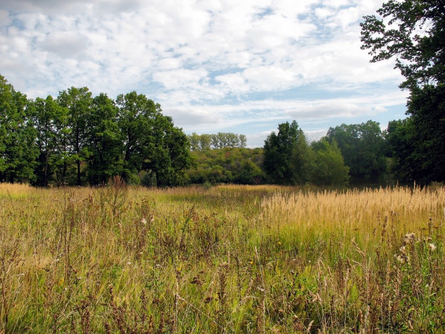 Верхние Брусы Тульская область