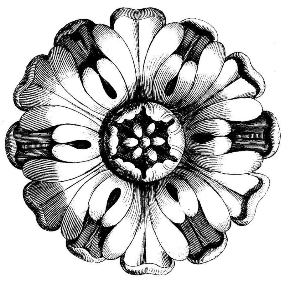 Растительный орнамент розетка