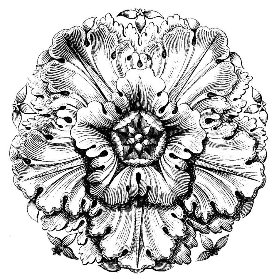 Викторианский Акант