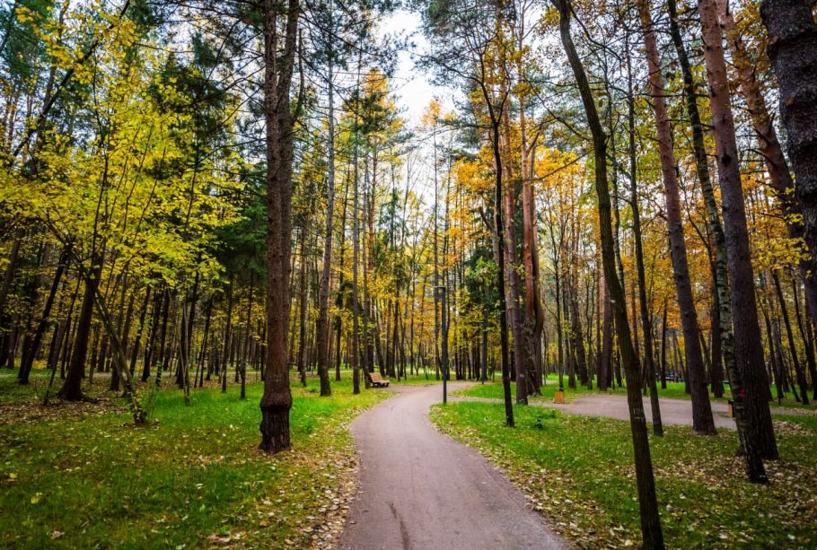 Парк Мещера прогулка