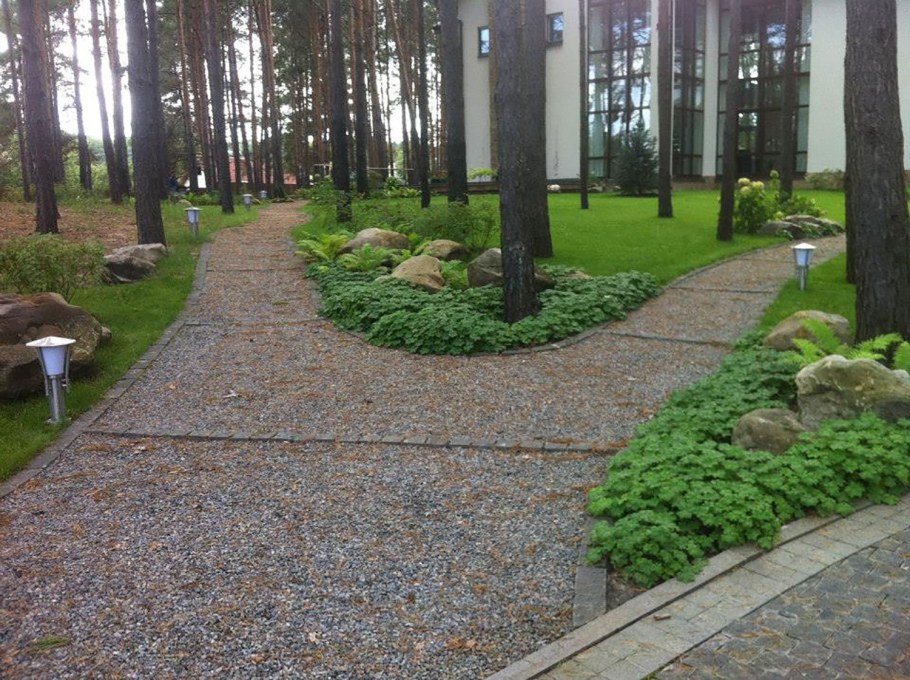 Озеленение в лесу