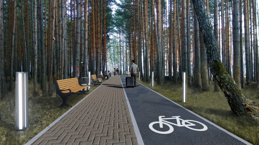 Сосновый Бор Красноярск парк