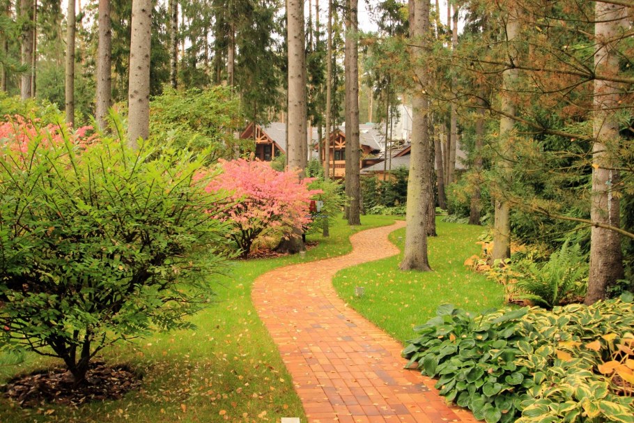 Прекрасный сад Ольги Макаровой в Сосновом лесу