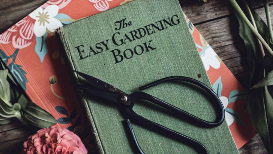 Книга про ножницы