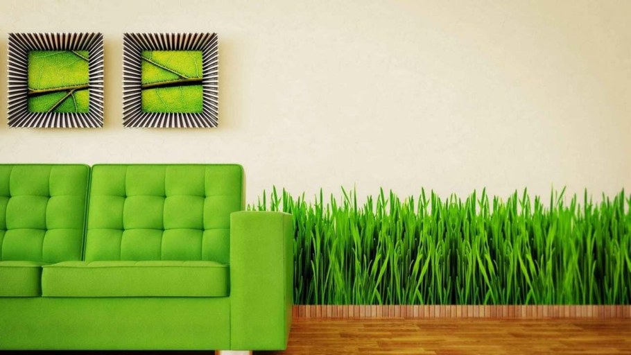 Салатовый диван