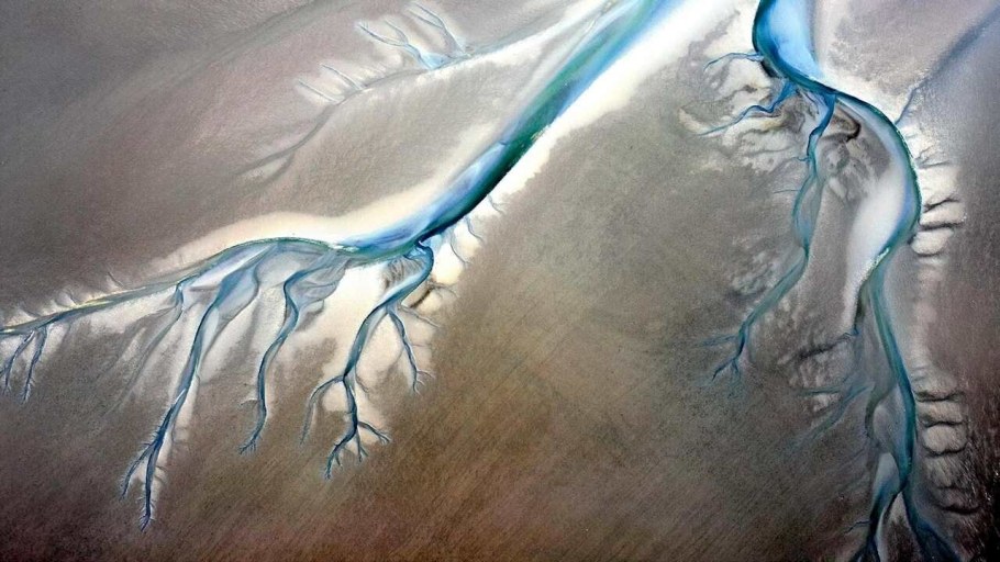 Нил Хэмелин картины акрилом