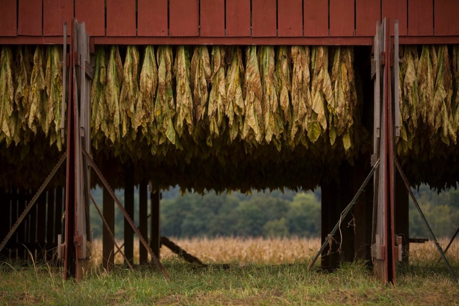 Кентукки копченый