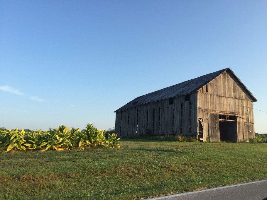 Tobacco Barn