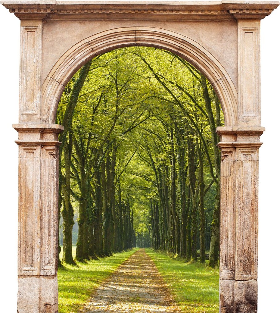 Картина арка