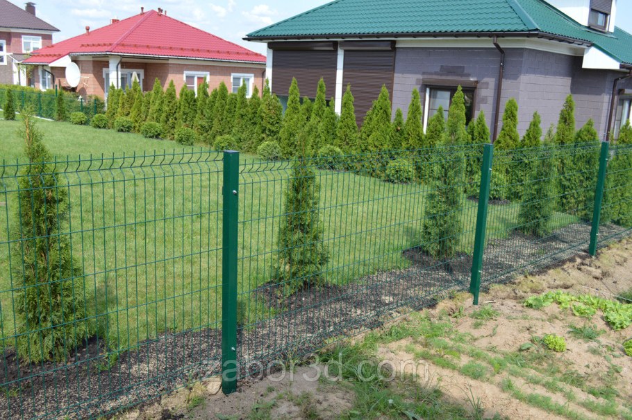 3д Гиттер с туями