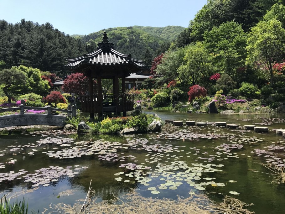 Пруд в парке Джувангсан Южная Корея