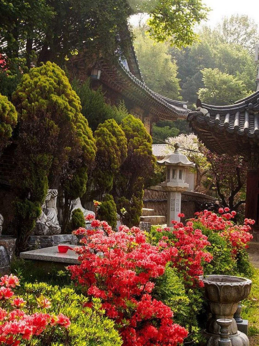 Сеул Южная Корея природа